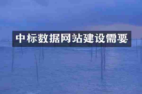 中标数据网站建设需要