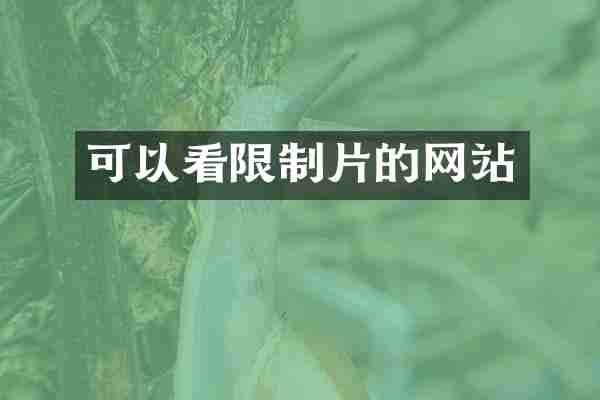 可以看限制片的网站