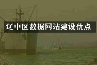 辽中区数据网站建设优点