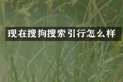 现在搜狗搜索引行怎么样