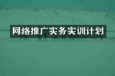 网络推广实务实训计划