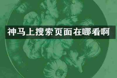 神马上搜索页面在哪看啊