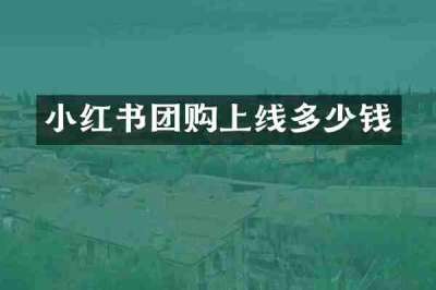 小红书团购上线多少钱