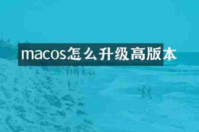 macos怎么升级高版本