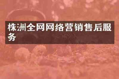 株洲全网网络营销售后服务