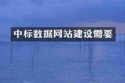 中标数据网站建设需要