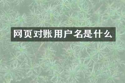 网页对账用户名是什么