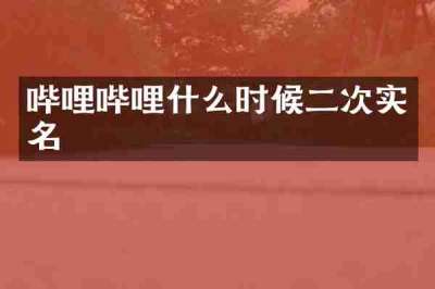 哔哩哔哩什么时候二次实名