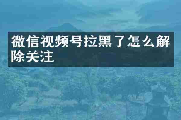 微信视频号拉黑了怎么解除关注
