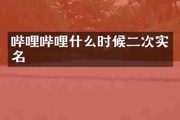 哔哩哔哩什么时候二次实名