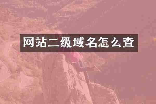 网站二级域名怎么查