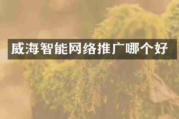 威海智能网络推广哪个好
