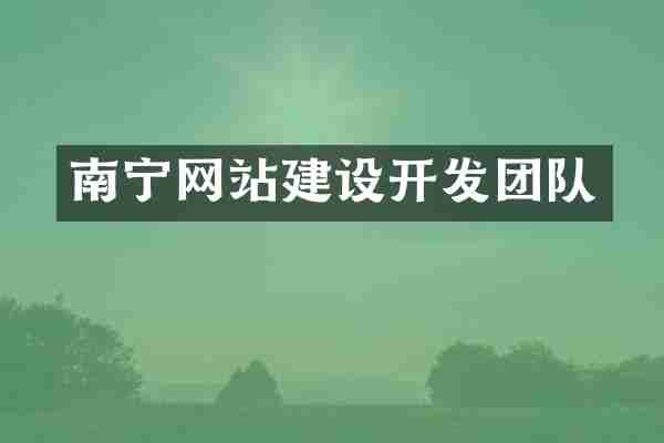 南宁网站建设开发团队