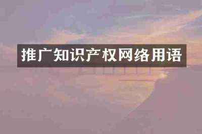 推广知识产权网络用语