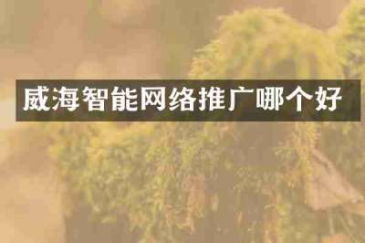 威海智能网络推广哪个好