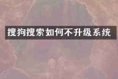 搜狗搜索如何不升级系统