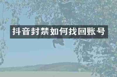 抖音封禁如何找回账号