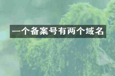 一个备案号有两个域名