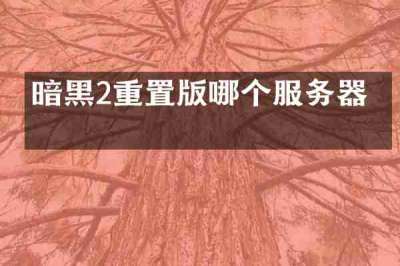 暗黑2重置版哪个服务器快