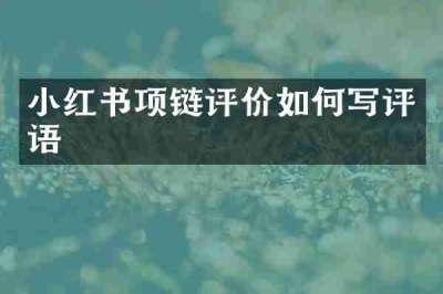 小红书项链评价如何写评语