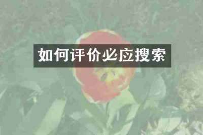 如何评价必应搜索