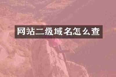 网站二级域名怎么查