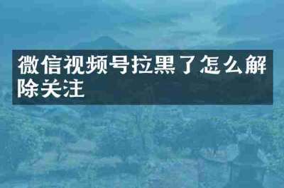 微信视频号拉黑了怎么解除关注