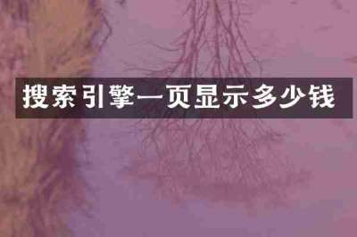 搜索引擎一页显示多少钱