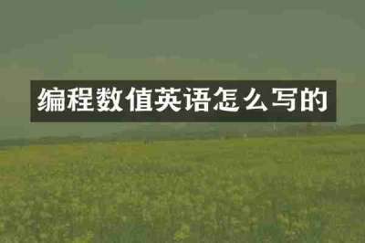 编程数值英语怎么写的