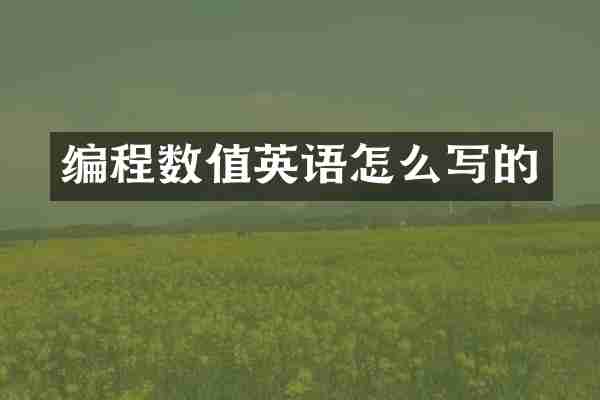 编程数值英语怎么写的
