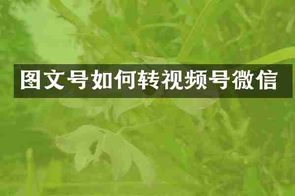 图文号如何转视频号微信