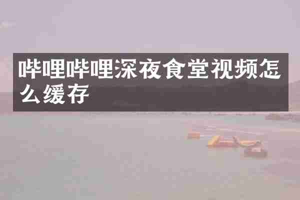 哔哩哔哩深夜食堂视频怎么缓存