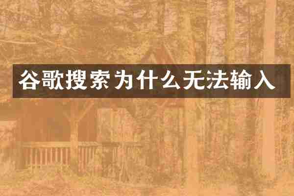 谷歌搜索为什么无法输入