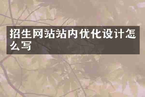 招生网站站内优化设计怎么写