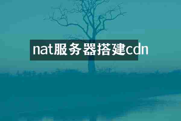 nat服务器搭建cdn