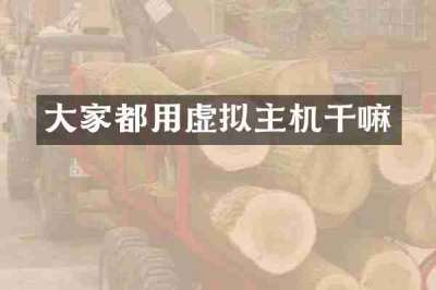 大家都用虚拟主机干嘛