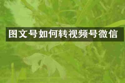 图文号如何转视频号微信