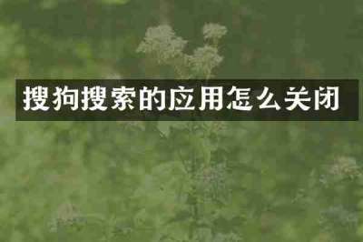 搜狗搜索的应用怎么关闭