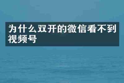 为什么双开的微信看不到视频号