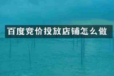 百度竞价投放店铺怎么做