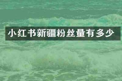 小红书新疆粉丝量有多少