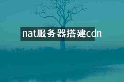 nat服务器搭建cdn