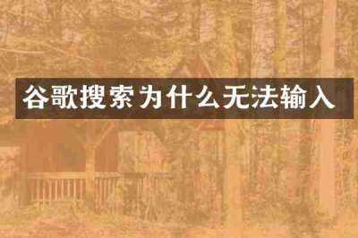 谷歌搜索为什么无法输入