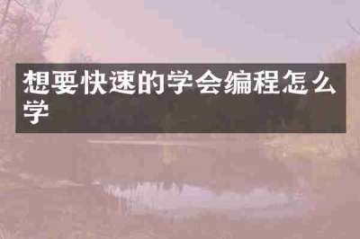 想要快速的学会编程怎么学