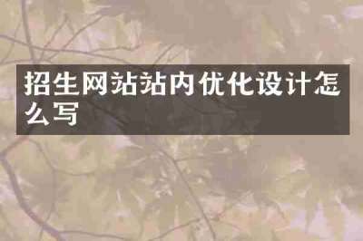 招生网站站内优化设计怎么写