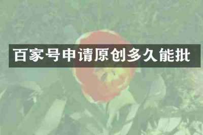 百家号申请原创多久能批