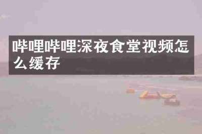 哔哩哔哩深夜食堂视频怎么缓存