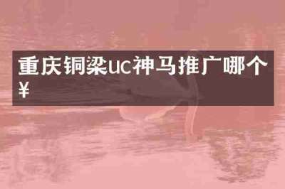 重庆铜梁uc神马推广哪个好