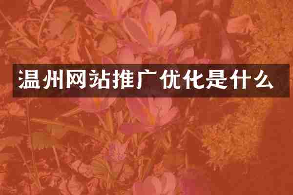 温州网站推广优化是什么