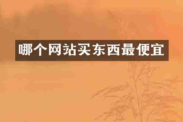 哪个网站买东西